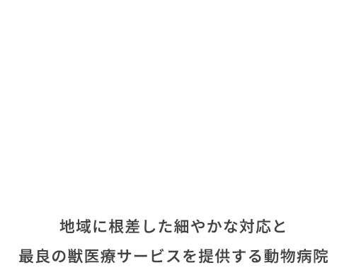 最良の獣医療サービスを提供する動物病院